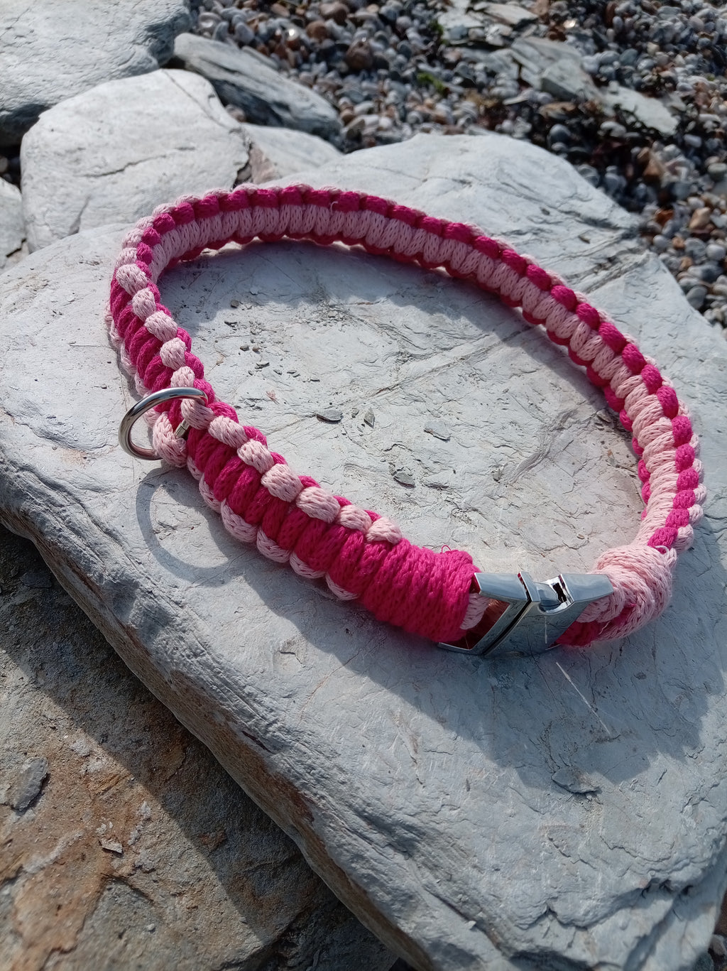 Cord Dog Collar - Sea Thrift