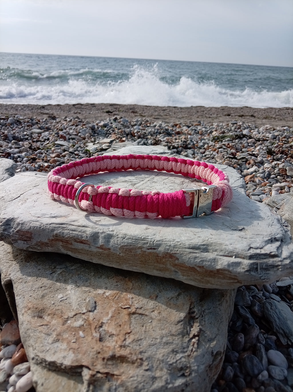 Cord Dog Collar - Sea Thrift