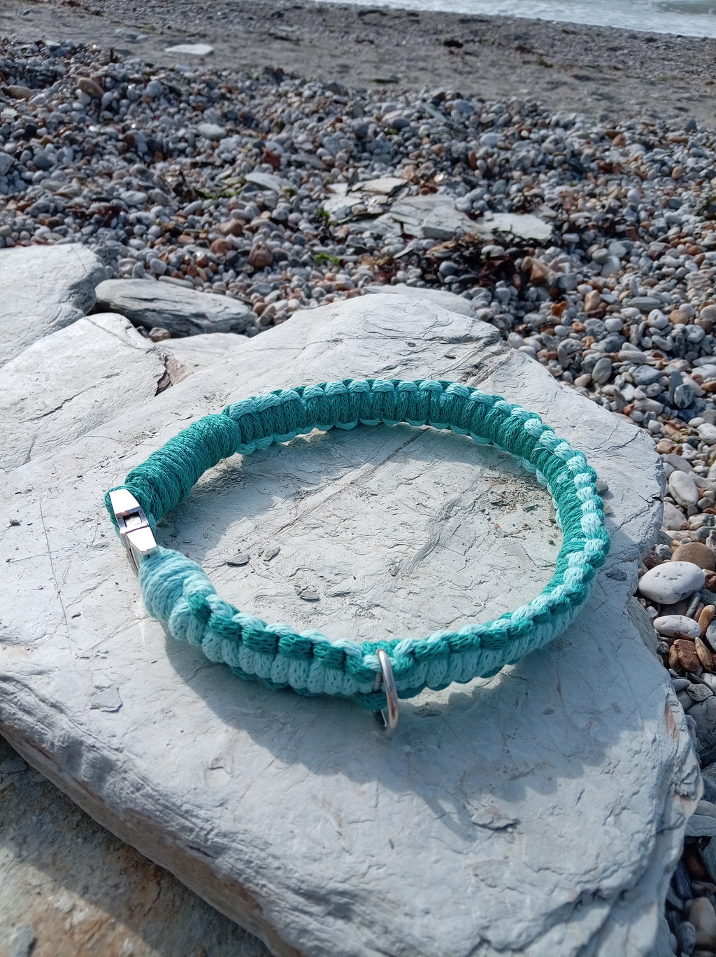 Cord Dog Collar - Sea Foam