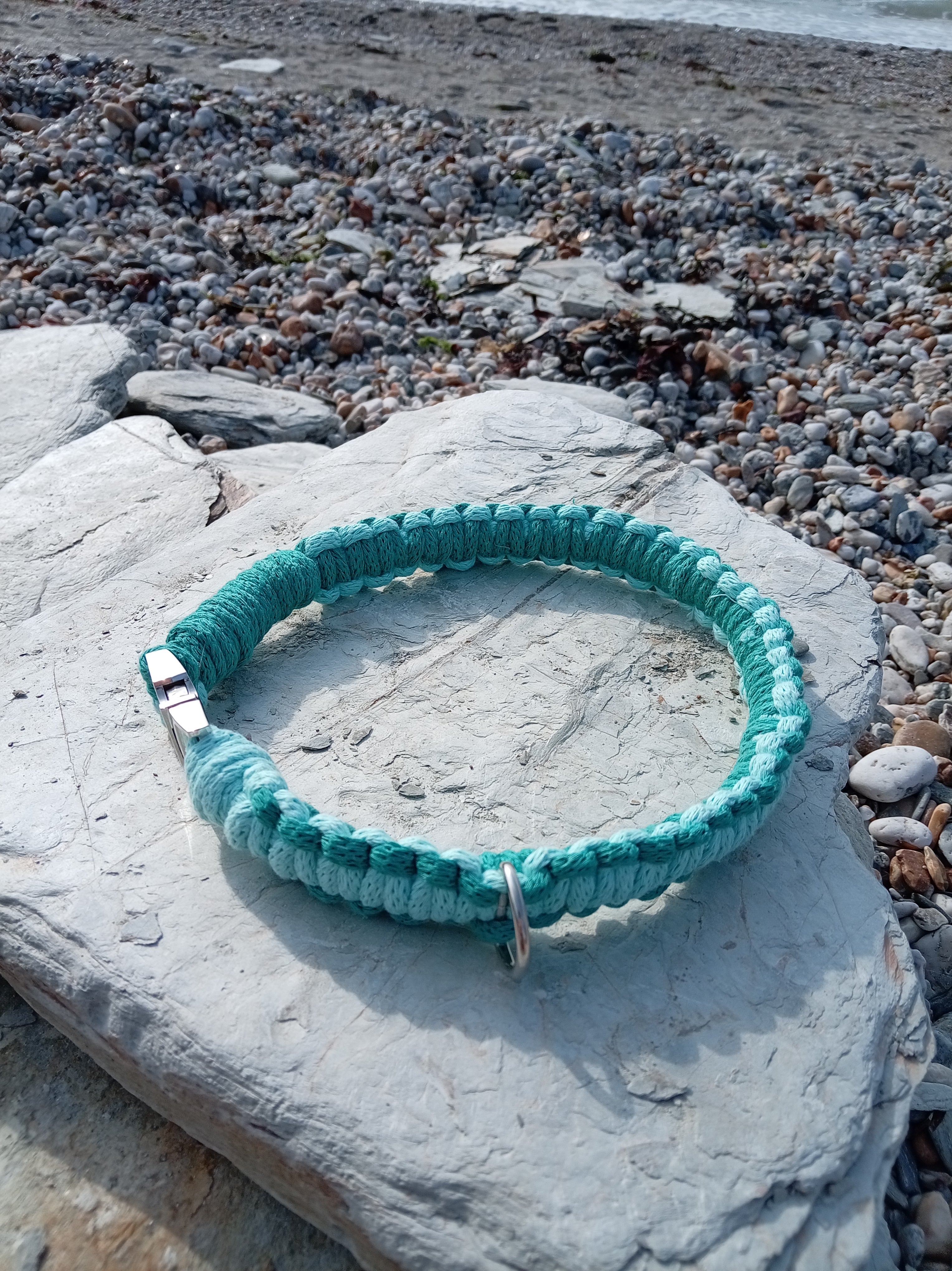 Cord Dog Collar - Sea Foam
