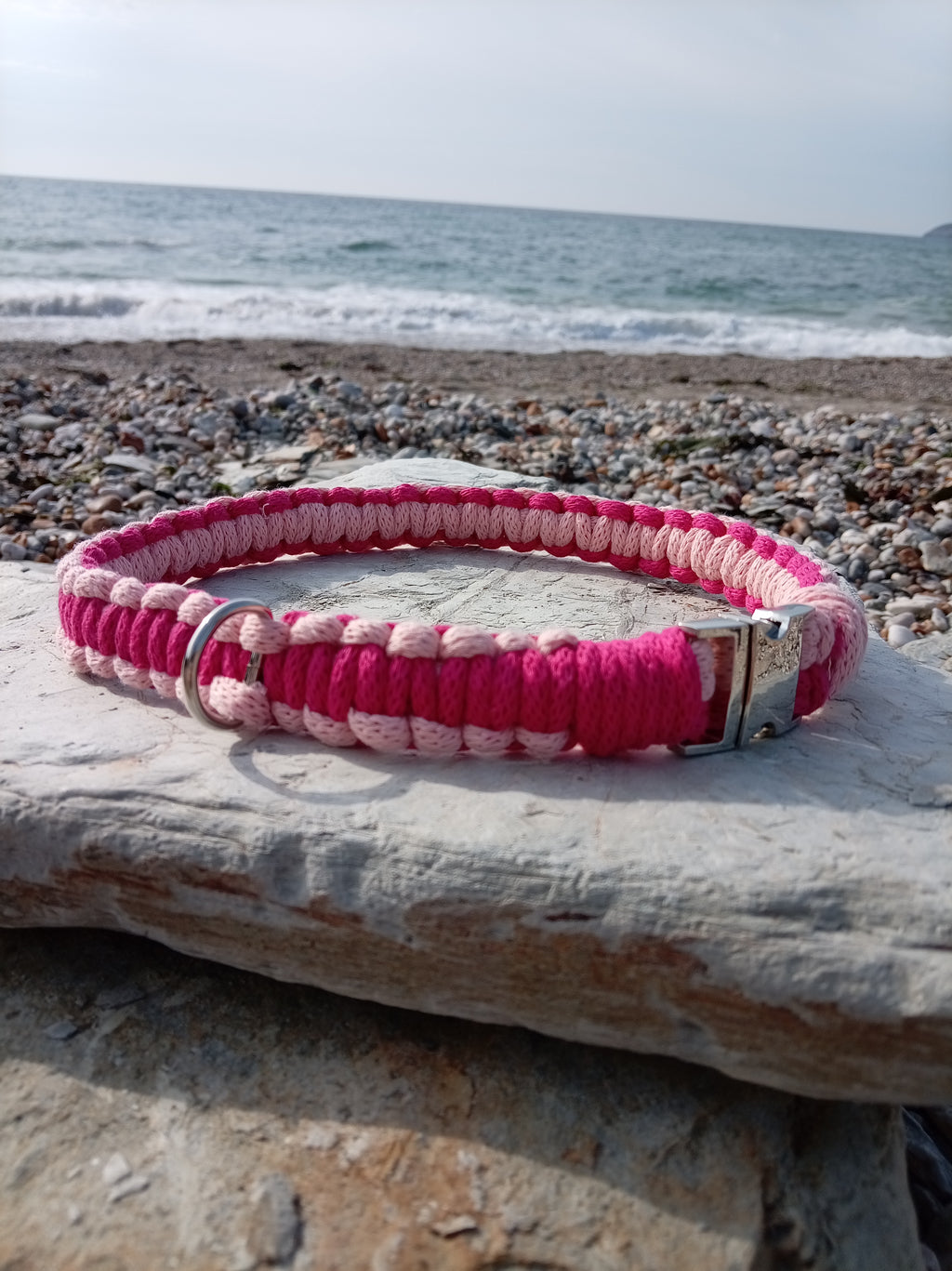 Cord Dog Collar - Sea Thrift