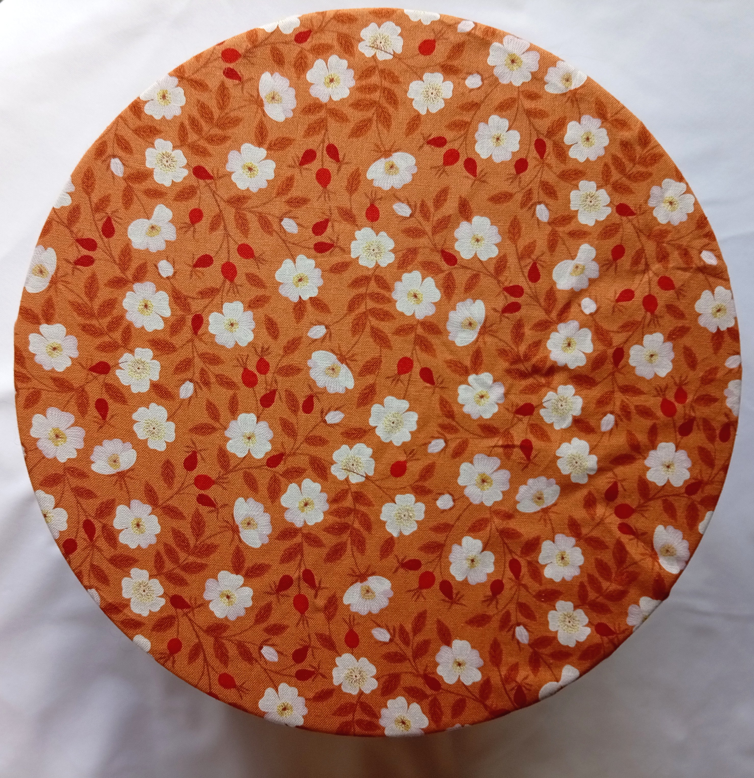 Bowl Cover - Autumn Walk