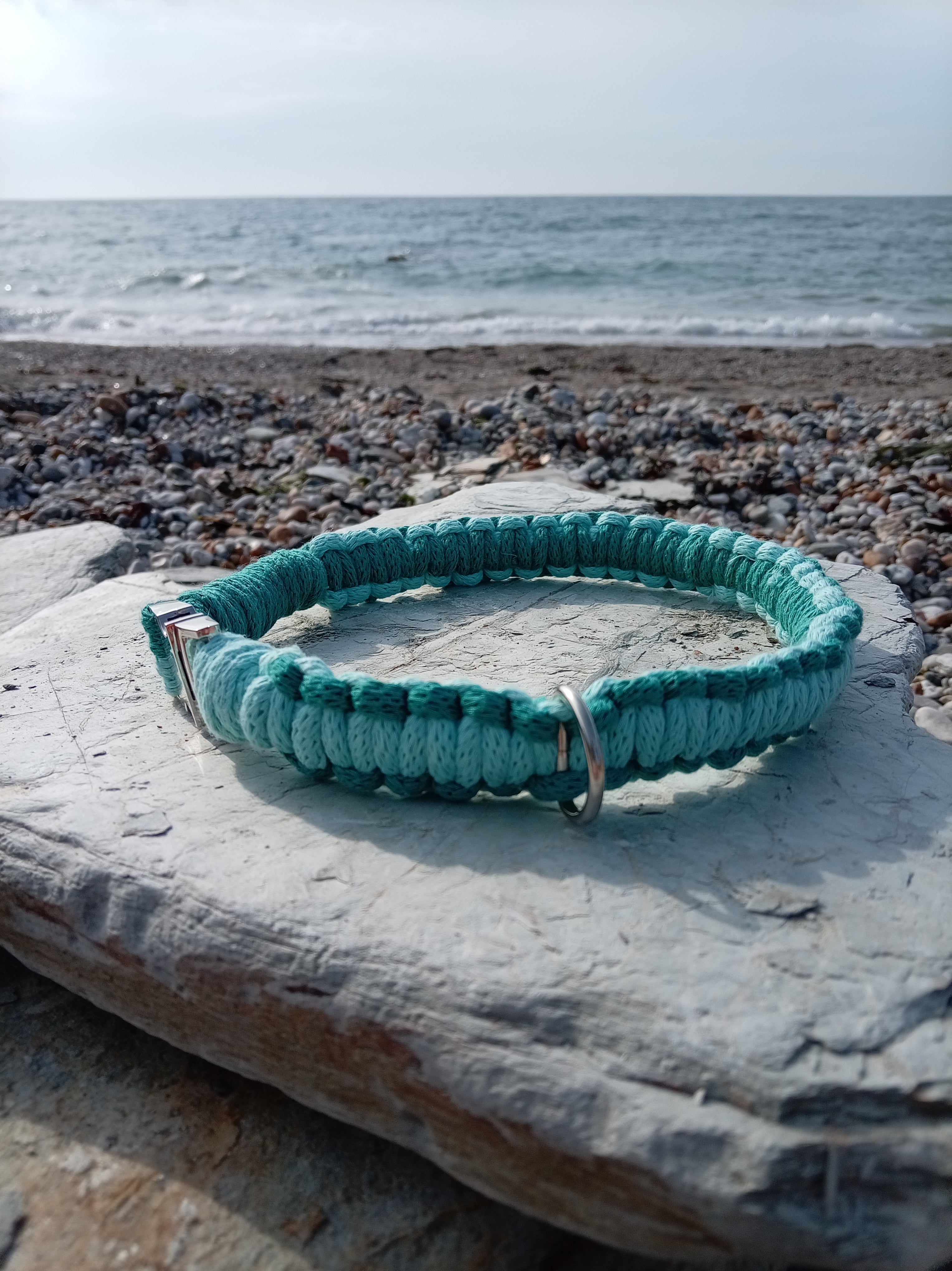 Cord Dog Collar - Sea Foam