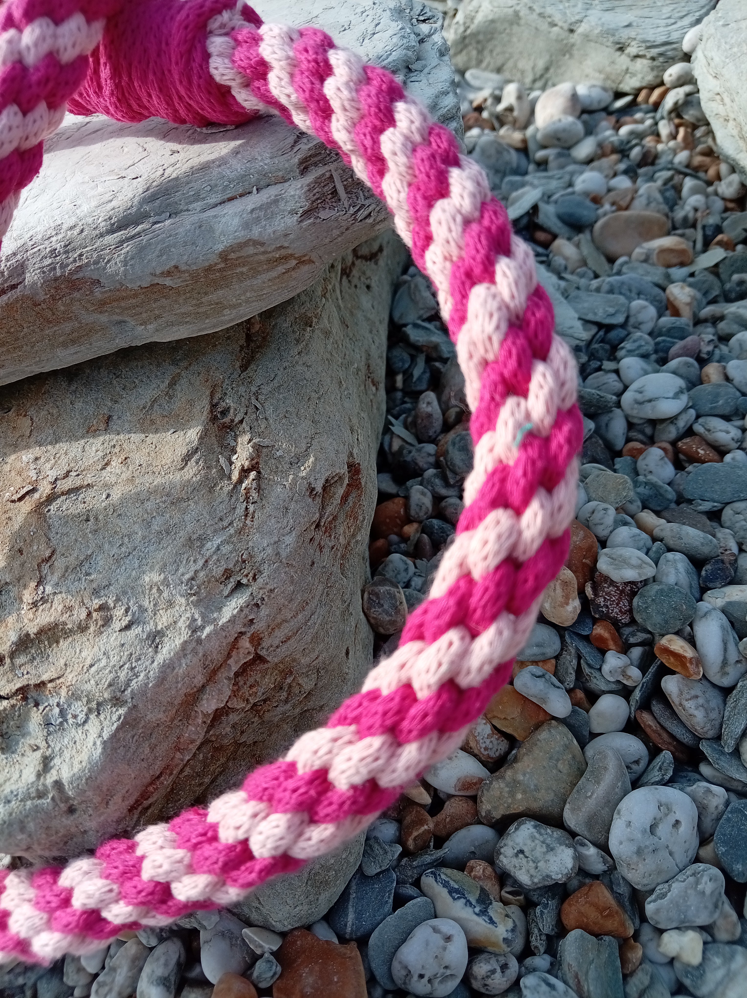 Cord Dog Lead - Sea Thrift