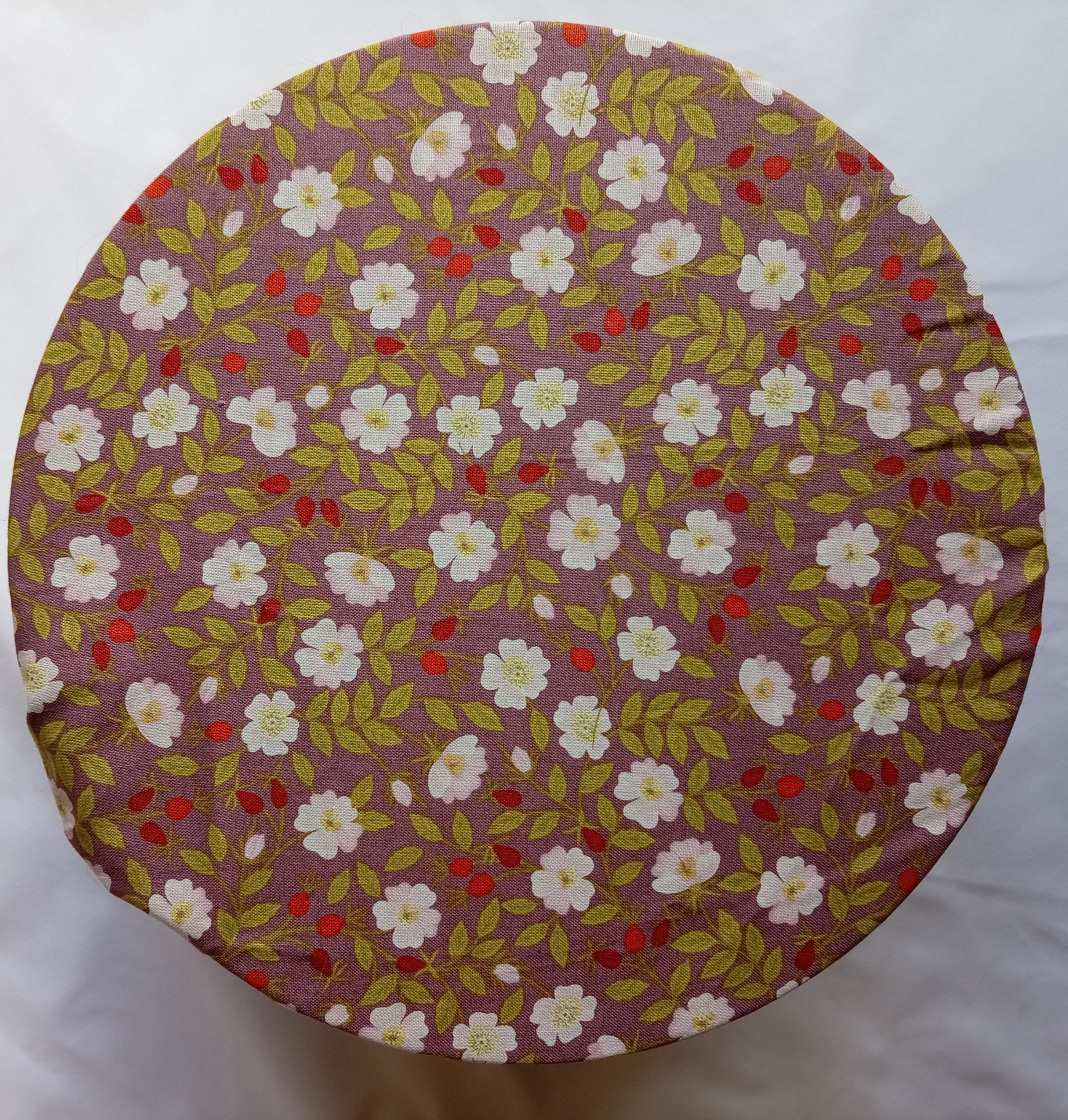Bowl Cover - Autumn Walk Dusk