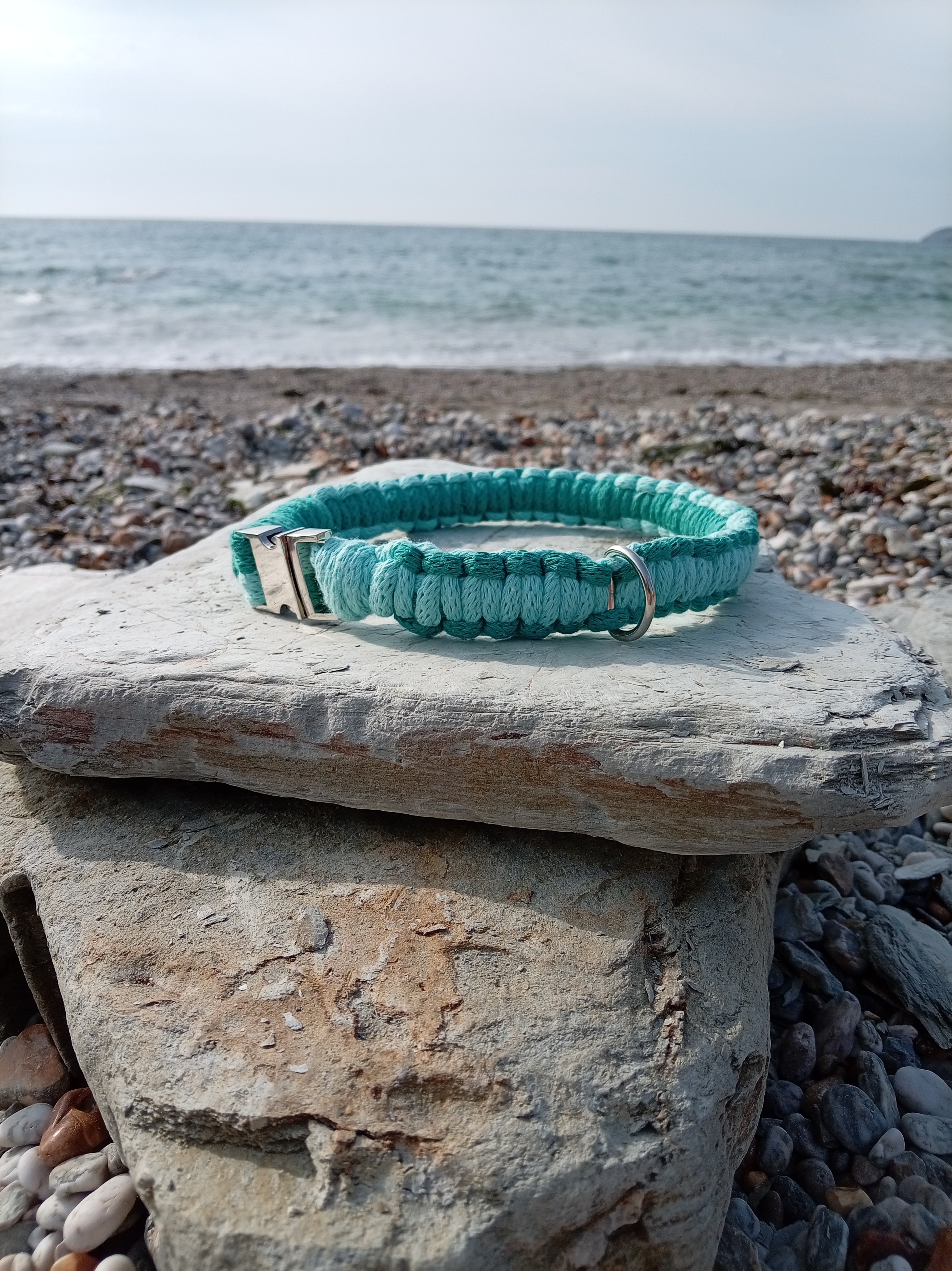Cord Dog Collar - Sea Foam