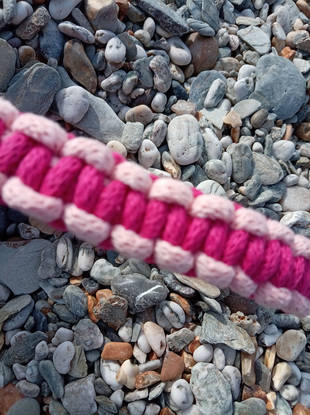 Cord Dog Collar - Sea Thrift
